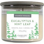 https://images.heb.com/is/image/HEBGrocery/prd-small/candle-lite-essential-elements-eucalyptus-mint-leaf-wick-candle-002233721.jpg