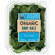 Central Market Organic Baby Kale, 5 oz - Care Pack