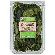 https://images.heb.com/is/image/HEBGrocery/prd-small/central-market-organic-baby-spinach-baby-kale-002839066.jpg