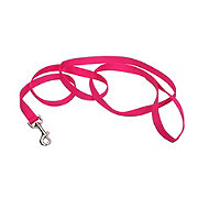 https://images.heb.com/is/image/HEBGrocery/prd-small/coastal-pet-products-1-inch-x-6-foot-flamingo-pink-leash-001621577.jpg