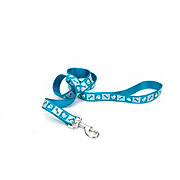 https://images.heb.com/is/image/HEBGrocery/prd-small/coastal-pet-products-5-8-inch-reflective-leash-001510017.jpg