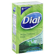 https://images.heb.com/is/image/HEBGrocery/prd-small/dial-mountain-fresh-antibacterial-deodorant-soap-8-ct-000032903.jpg