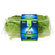 https://images.heb.com/is/image/HEBGrocery/prd-small/eva-butter-lettuce-hearts-002027960.jpg