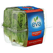 Eva Mini Romaine Hearts, 4 ct - Care Pack