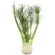 https://images.heb.com/is/image/HEBGrocery/prd-small/fresh-anise-fennel-000319297.jpg