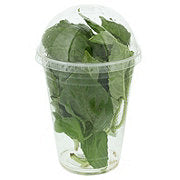 https://images.heb.com/is/image/HEBGrocery/prd-small/fresh-aqua-dome-basil-001926156.jpg