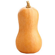 Fresh Butternut Squash, Avg. 4.115 lbs - Care Pack