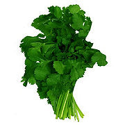 https://images.heb.com/is/image/HEBGrocery/prd-small/fresh-cilantro-000325175.jpg