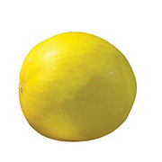 https://images.heb.com/is/image/HEBGrocery/prd-small/fresh-golden-dewlicious-honeydew-melons-000582532.jpg