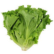 https://images.heb.com/is/image/HEBGrocery/prd-small/fresh-green-leaf-lettuce-000319391.jpg