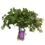 https://images.heb.com/is/image/HEBGrocery/prd-small/fresh-organic-cilantro-000320119.jpg