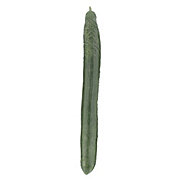 https://images.heb.com/is/image/HEBGrocery/prd-small/fresh-organic-seedless-cucumber-000320086.jpg