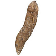 https://images.heb.com/is/image/HEBGrocery/prd-small/fresh-yuca-root-000377480.jpg