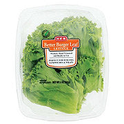 https://images.heb.com/is/image/HEBGrocery/prd-small/h-e-b-select-ingredients-better-burger-leaf-lettuce-002109622.jpg