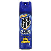 https://images.heb.com/is/image/HEBGrocery/prd-small/hot-shot-flying-insect-killer-spray-000134140.jpg