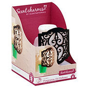 https://images.heb.com/is/image/HEBGrocery/prd-small/scentsationals-linden-scent-charm-with-led-light-002243455.jpg